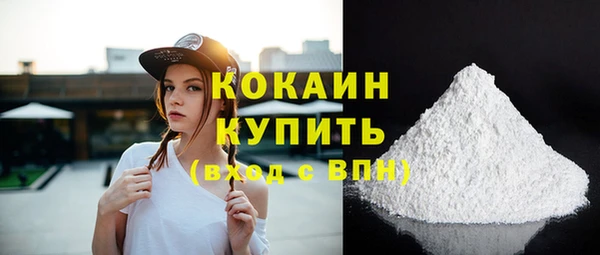 PSILOCYBIN Заводоуковск