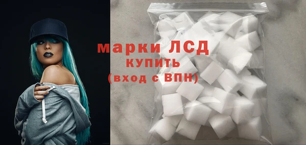 PSILOCYBIN Заводоуковск