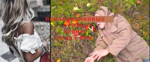 PSILOCYBIN Заводоуковск