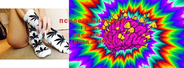 бошки Заволжье