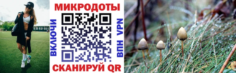 Купить  Дзержинский  Псилоцибиновые грибы мухоморы 